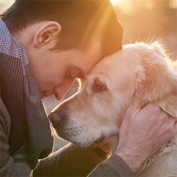 man putting his head on a dogs forehead