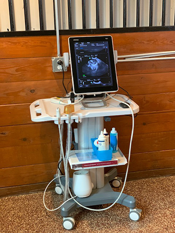 Ultrasonography machine