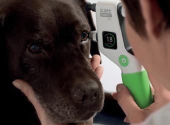 Ophthalmology: Tonometer safely checks pet’s eyes