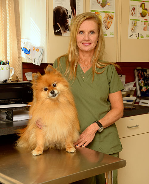 pet doctor Purcellvile